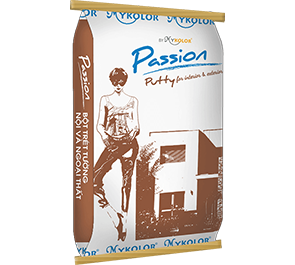 MYKOLOR PASSION PUTTY FOR INTERIOR & EXTERIOR